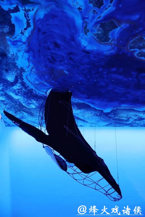 【会展区】两只巨型鲸鱼装置亮相浦美，以艺术回应海洋生物遭遇的威胁