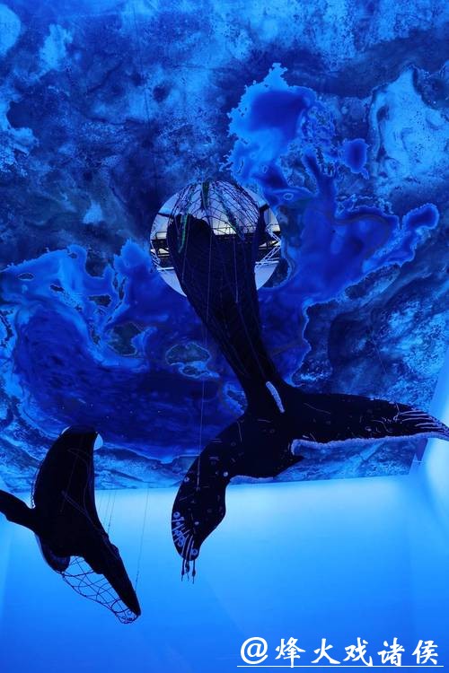 【会展区】两只巨型鲸鱼装置亮相浦美，以艺术回应海洋生物遭遇的威胁