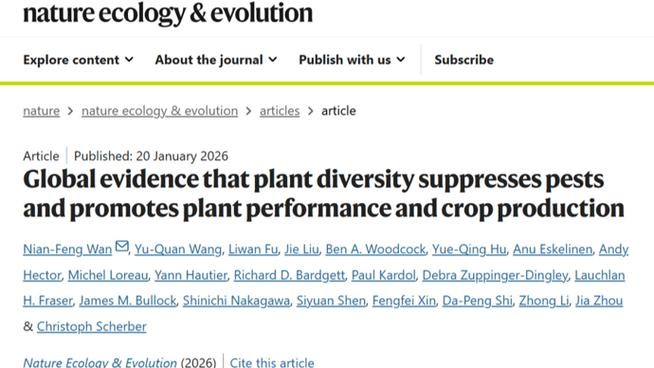 只种一种菜为什么更容易招虫？9国科研人员发文《自然》子刊拆解“混种”逻辑